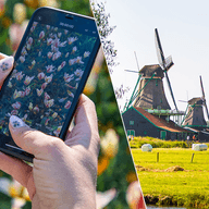 Combi windmill keukenhof 752x752