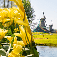 Keukenhof and Dutch countryside tour 752x752