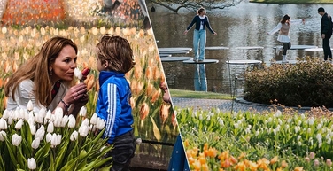 Keukenhof combi with tulip experience crop preview no logo