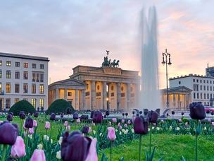 Brandenburg Gate with tulips