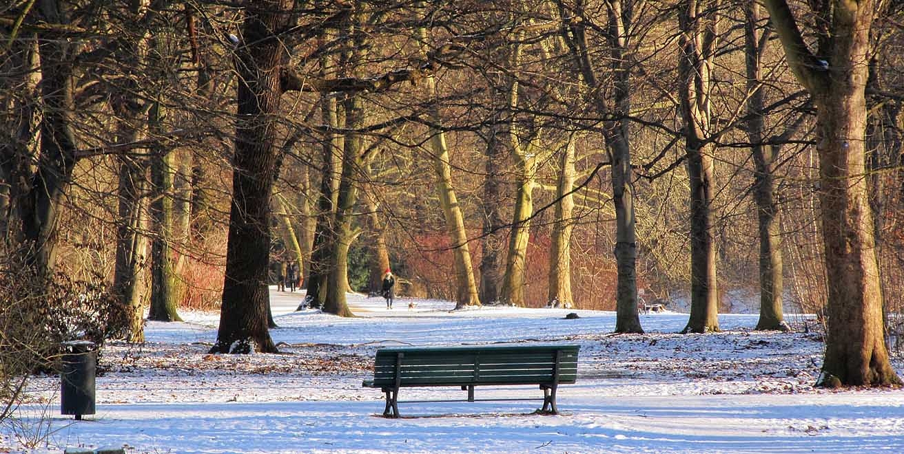 Tiergarten in winter