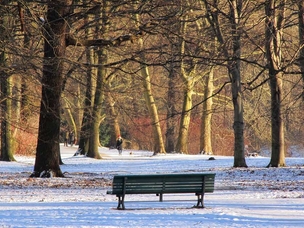 Tiergarten in winter