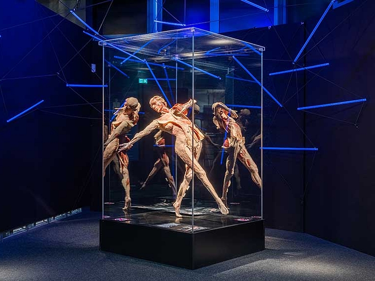 Koperwelten body in vitrine 2025