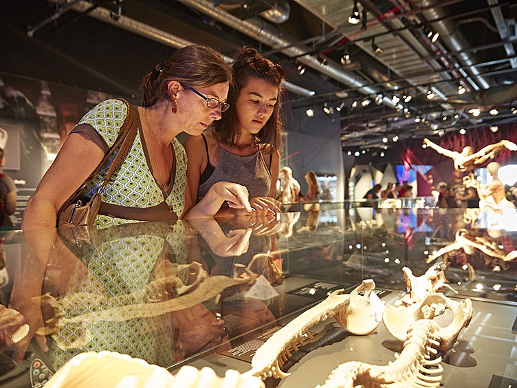 Korperwelten Body Worlds looking at bones