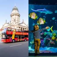 HOHO SEA LIFE Cover image