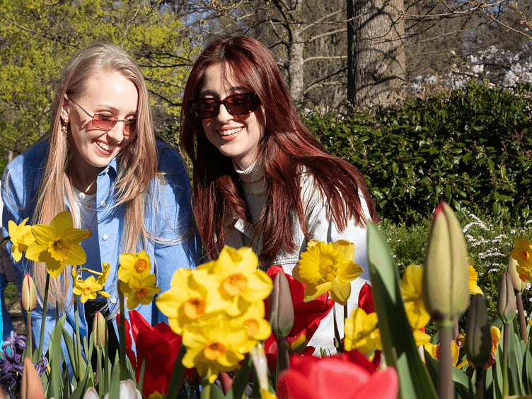 Keukenhof 2026 girls admiring daffodils 752x564
