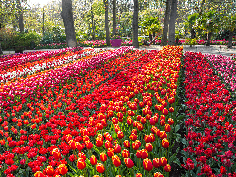 Keukenhof foto6 752x564