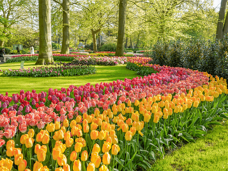 Keukenhof foto7 752x564