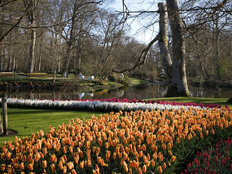 Keukenhof foto8 752x564