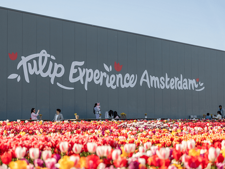 Tulip Experience foto4 752x564