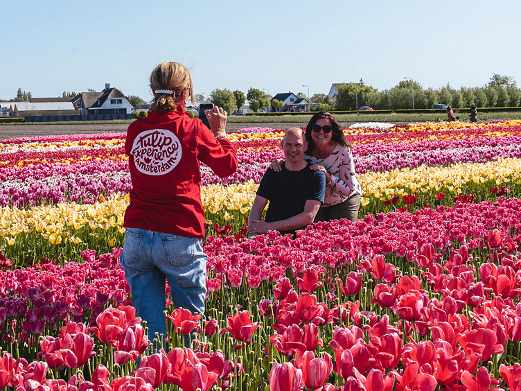 Tulip Experience foto5 752x564